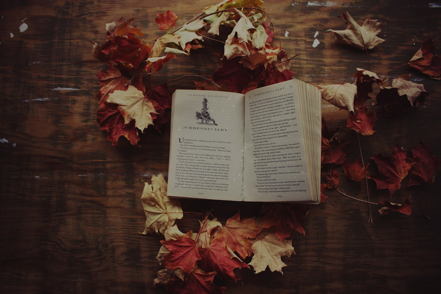 How Community Shapes the Stories We Tell
